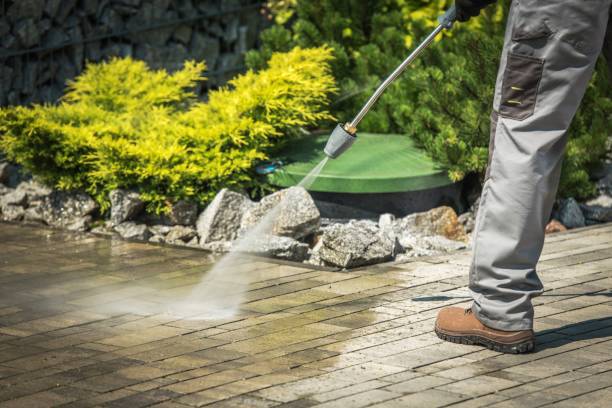 Best Dumpster Area Cleaning  in Independence, MN