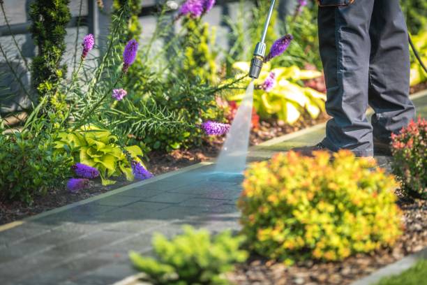 Trusted Independence, MN Pressure Washing Services Experts