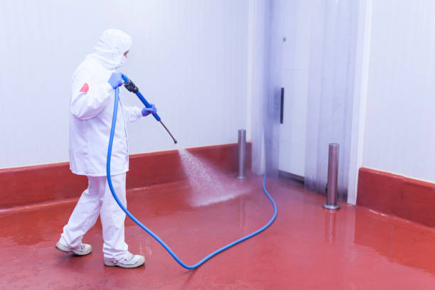Best Factory Floor Cleaning  in Independence, MN