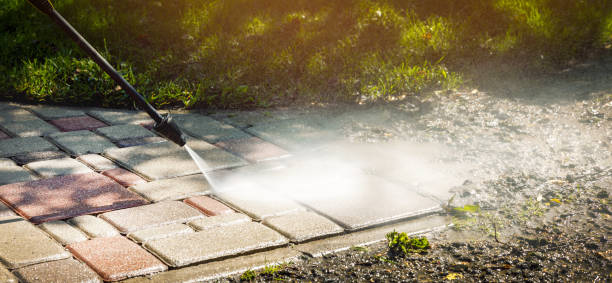 Best House Exterior Washing  in Independence, MN
